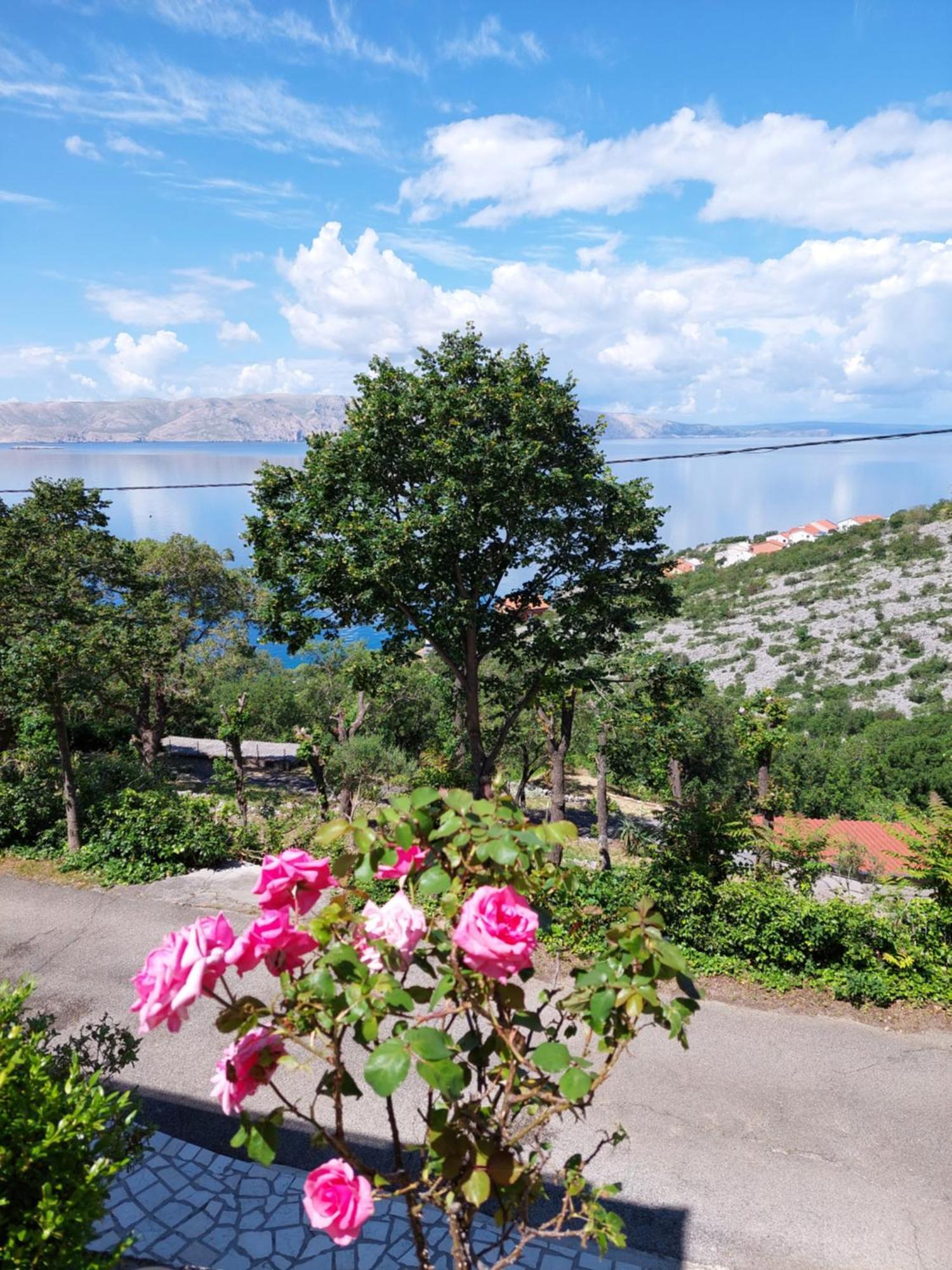 Apartamento Dalibor Senj  Exterior foto